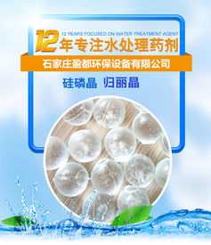 臺州鍋爐歸麗晶價格 公司動態(tài) 石家莊盈都環(huán)保科技